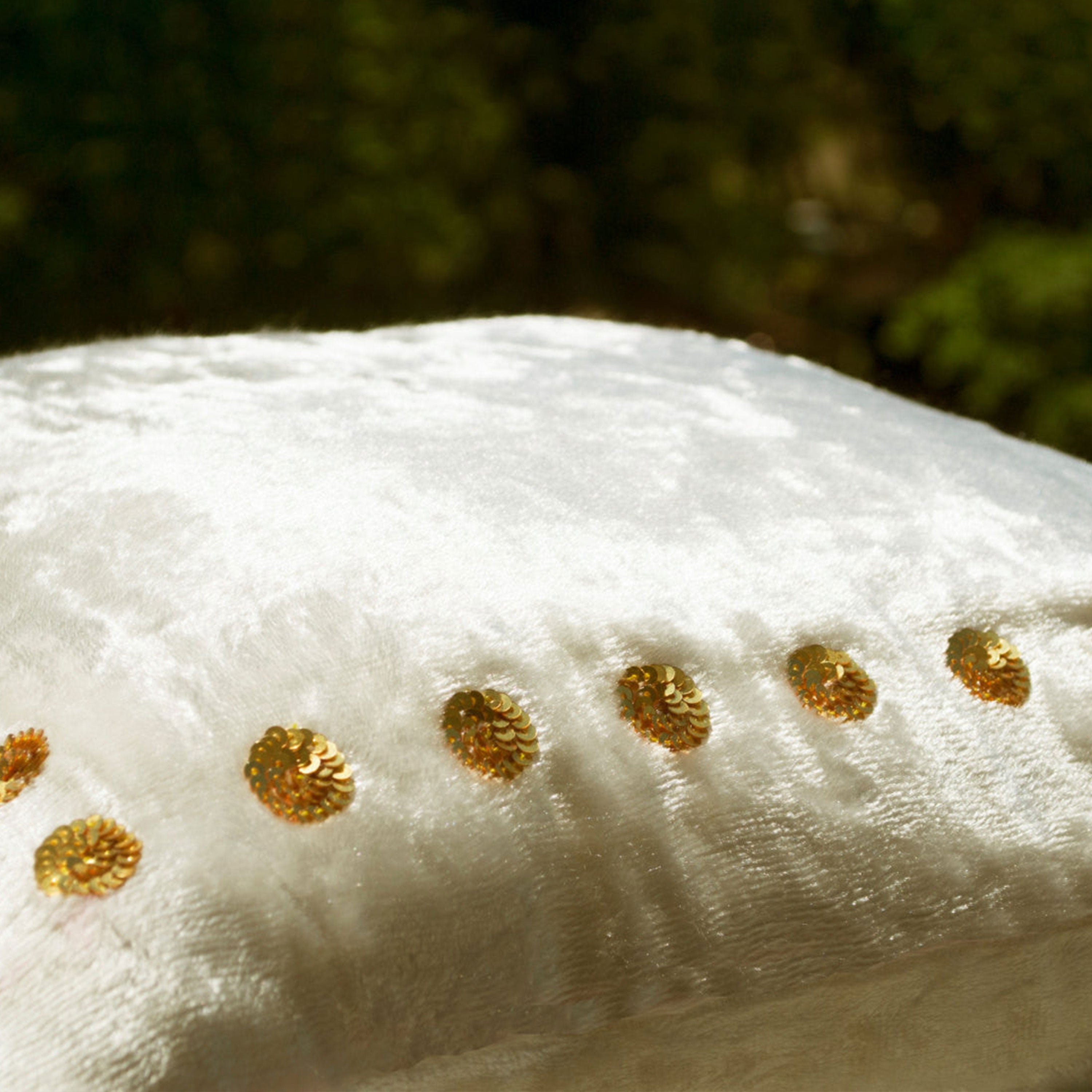 Ivory Velvet Pillow With Gold Boarder