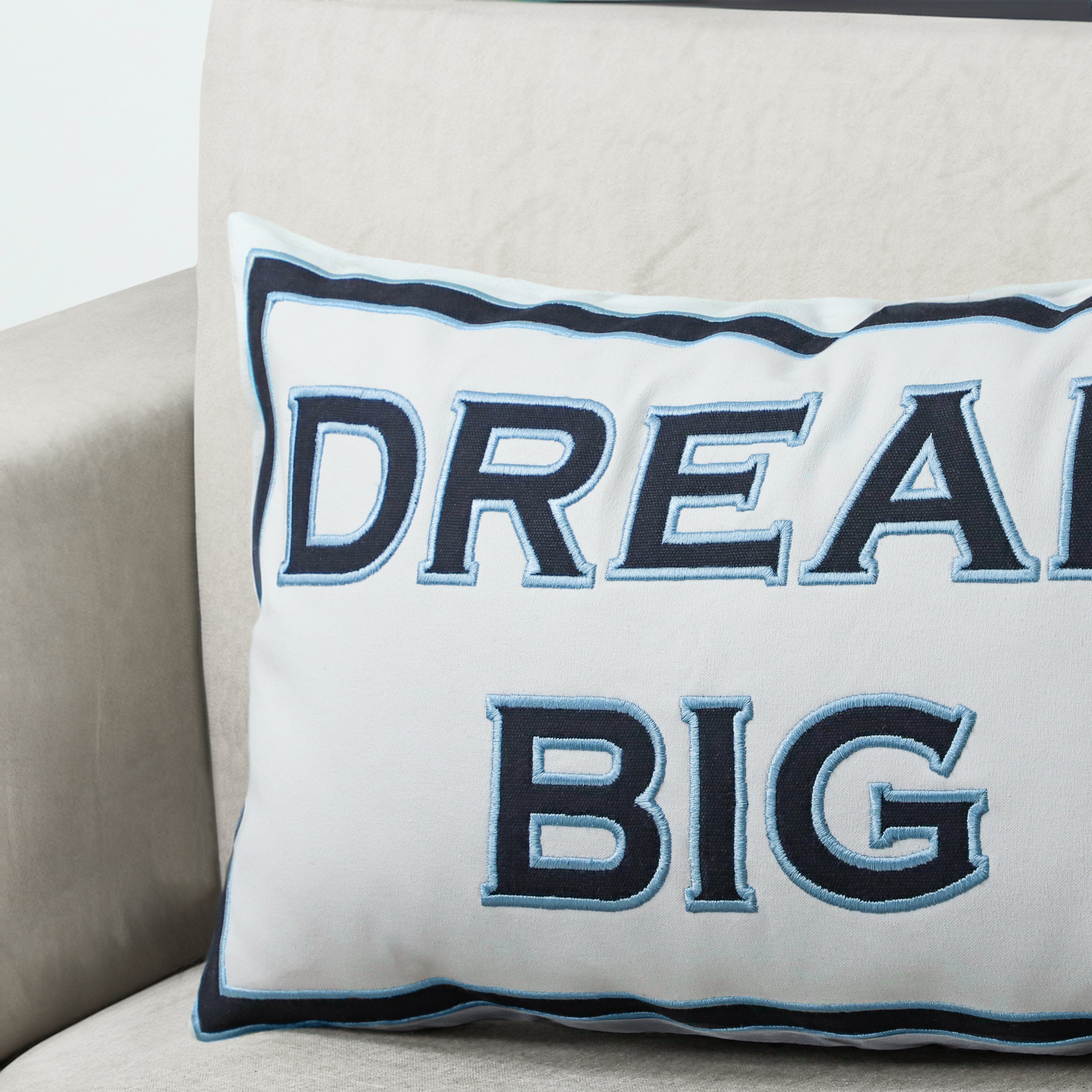 Week 6: A Dream, A Big Dream! - Vision and Action
