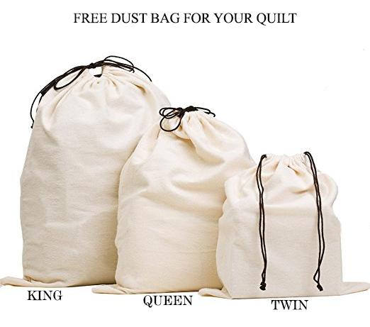 Amore Beaute Free Dust Bag