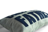 Amore Beaute grey nad navy pillow cover is a wonderful gift for a son or daughter going back to college. 